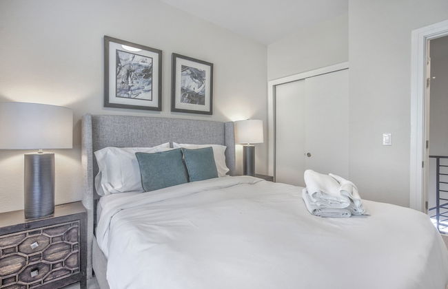 Chipmunk Complex - Foto 3