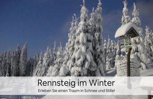 Haus Repin, Oberhof, historische Villa am Rennsteig, Thüringer Wald - Foto 17