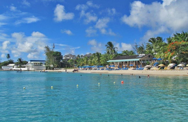 Palm Grove by Bluescape - Foto 42