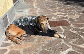 Villa Marisa - Foto 35