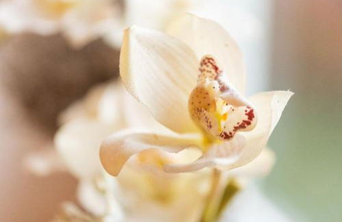 Ferienwohnung Auszeit mit Waldgeflüster 35231 - Foto 21