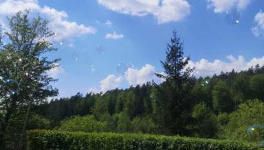 Ferienhaus am Wald - Photo 5, Garden