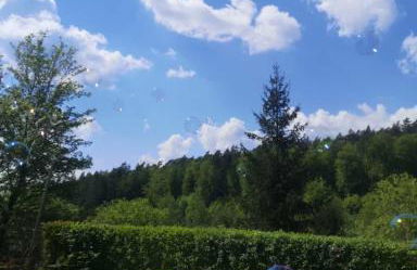 Ferienhaus am Wald - Photo 5