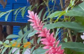 Casa Boomerang - Foto 64