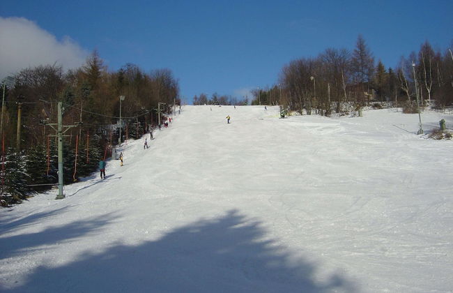 House in Bohemian Near Ski Slope - Foto 37