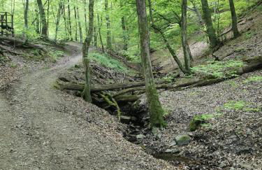 Moderne Wohnung mit Terrasse und eigenem Zugang. - Foto 8