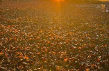 37 Wamphassuc Rd Château Stonington - Foto 46