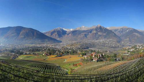 Schwarzplatterhof - Foto 4