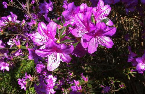 Quinta do Espírito Santo - Photo 29