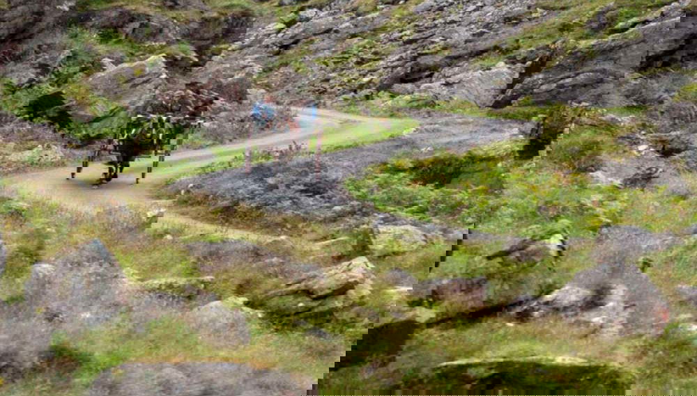 Paseando por los alrededores de Killarney