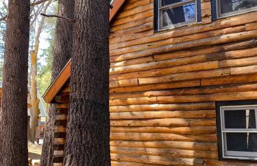 Majestic Log A Frame by Lake, Loft & Deck - Foto 26