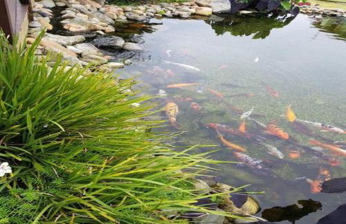 Praia do Santinho, de frente para mar - Foto 35