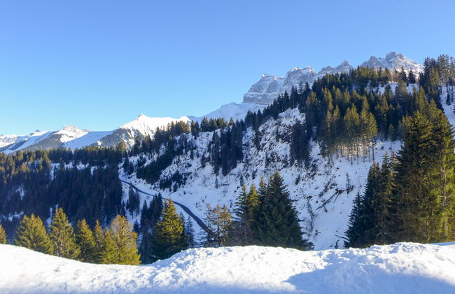 Le Cyclamen - Foto 36