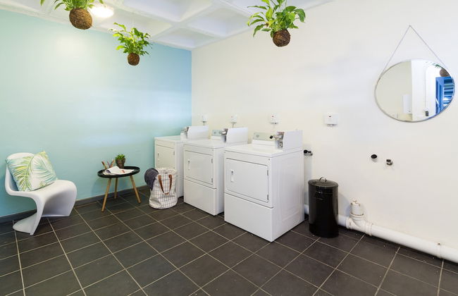 WINK Quiver Tree - Foto 47