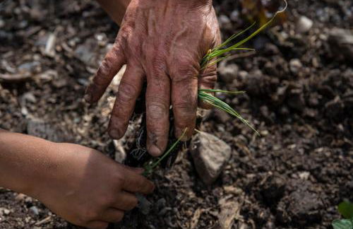 Banana Garden Suites - Foto 14