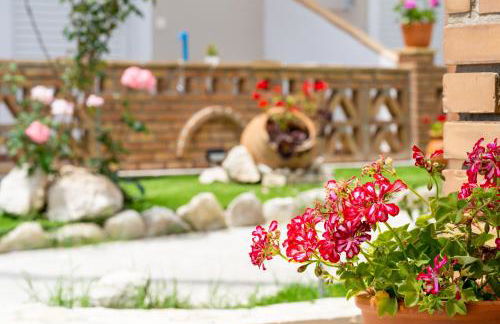 Asteri Studios - Photo 14