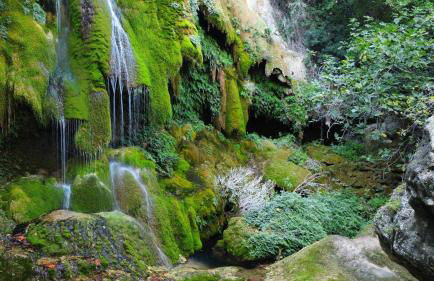 Majordoms - Cal Sabater - Foto 80