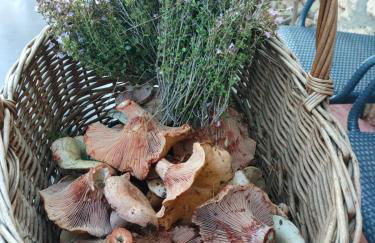 Masia Heredad La Boquilla - Foto 133