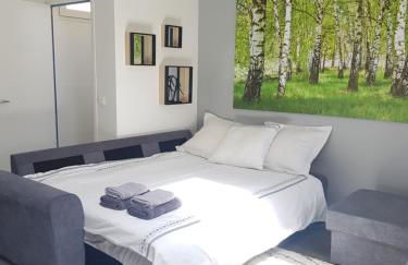 Super Studio cosy - a 10 min de CDG aéroport - a 30 min de Paris - a 10 min du salon d'expo Villepinte - Foto 16