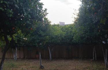 ΆΘΟΣ (ATHOS) - Foto 18