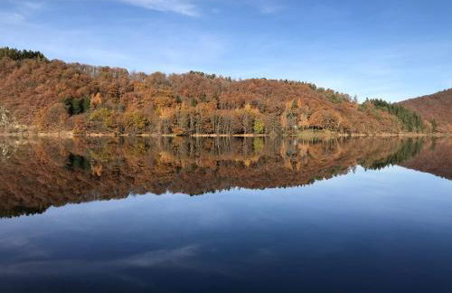 Villa Holgenbach - Penthouse und Ferienwohnung im Nationalpark Eifel - Foto 26