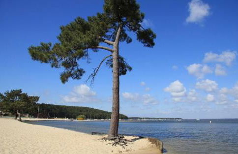 Maison piscine 4 ch Carcans Médoc Bassin Arcachon - Foto 38