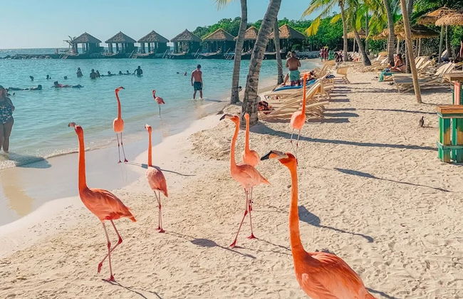 South Beach Residence - Foto 21