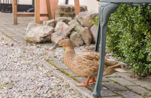 5 Wye Rapid Cottages - Foto 20