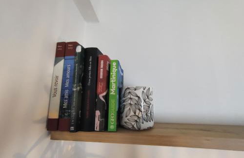 Appartement T2 "JUNGLE" Centre Ville de VITRÉ au calme coté cour - Foto 21