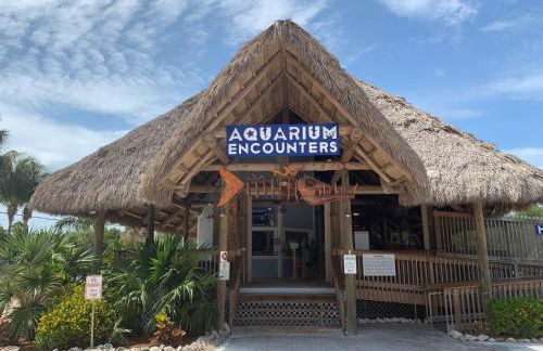 Blue Pearl New Waterfront Haven with Heated Pool ,70 Foot Dock, and More! - Foto 130