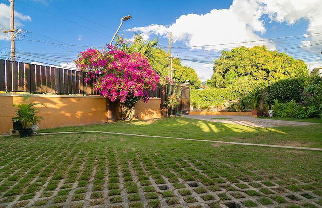 Serenity Gardens Living - Photo 23