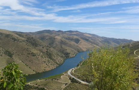 Casa da Muralha - Foto 52