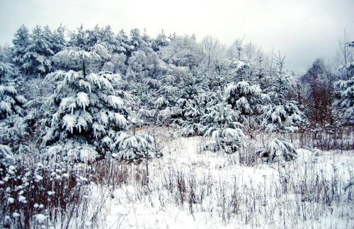 Fewo-Mundi - Foto 46