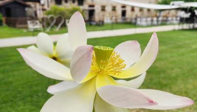 Agriturismo il Vagabondo - Foto 4, Garden view