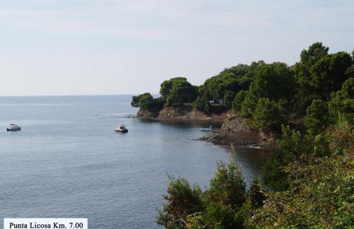 Micheletto - Foto 14