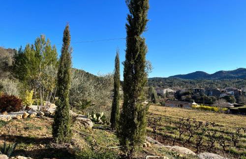 LOU CHYMADIS - Foto 9