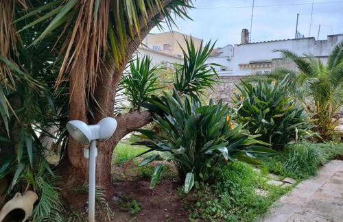 Giardino a Mare - Foto 32