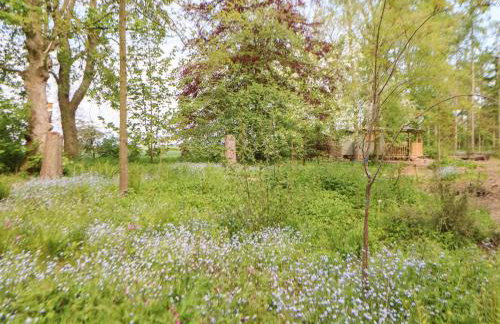 Bracken Fern - Photo 27