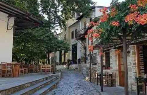 COZY VILLAGE HOUSE ΑΓΙΟΣ ΛΑΥΡΕΝΤΙΟΣ ΠΗΛΙΟΥ - Foto 20