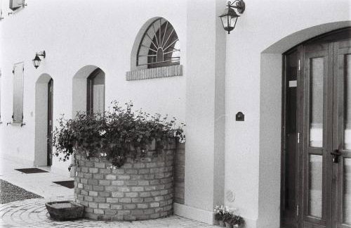 Agriturismo Cà Nuova - Foto 9