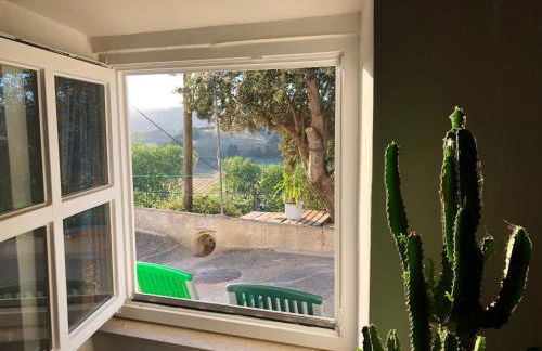 Casa Anneli - relaxing under the olive tree - Foto 9