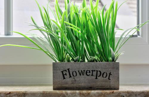 Holiday Home Ferienhaus Born by Interhome - Foto 10