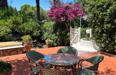 Villa Pineta - Holiday House - Photo 7