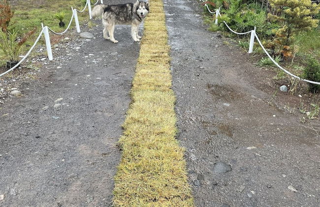 Cabañas Mi Refugio Puerto Varas - Foto 3