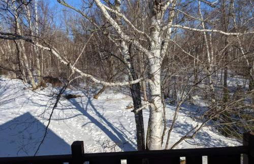 North Shore A-Frame Sauna, Firepit, 10 min Lutsen - Foto 13