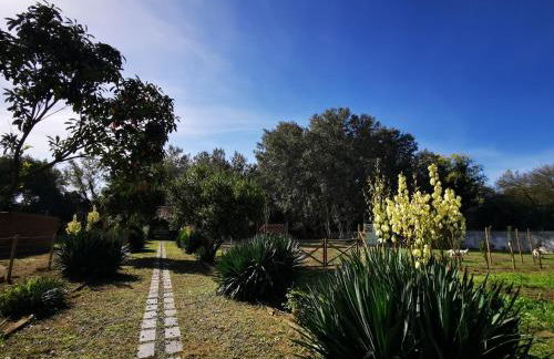 Quinta do Louredo - Évora - Foto 25