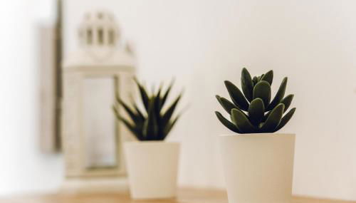 Residencial El Encuentro 4 - Foto 3