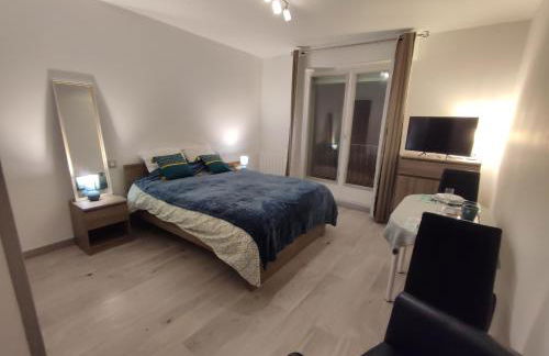 studio cosy la Dacquoise centre-ville internet haut-débit - Foto 2