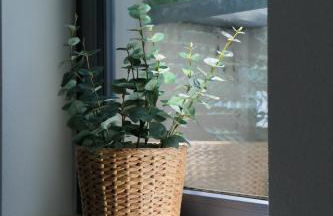 Untergeschoss mit Stil modern, ruhig & mit Terrasse - Foto 21