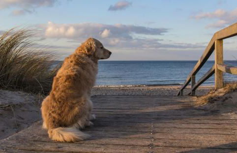 Carat Apartments Grömitz - Foto 52